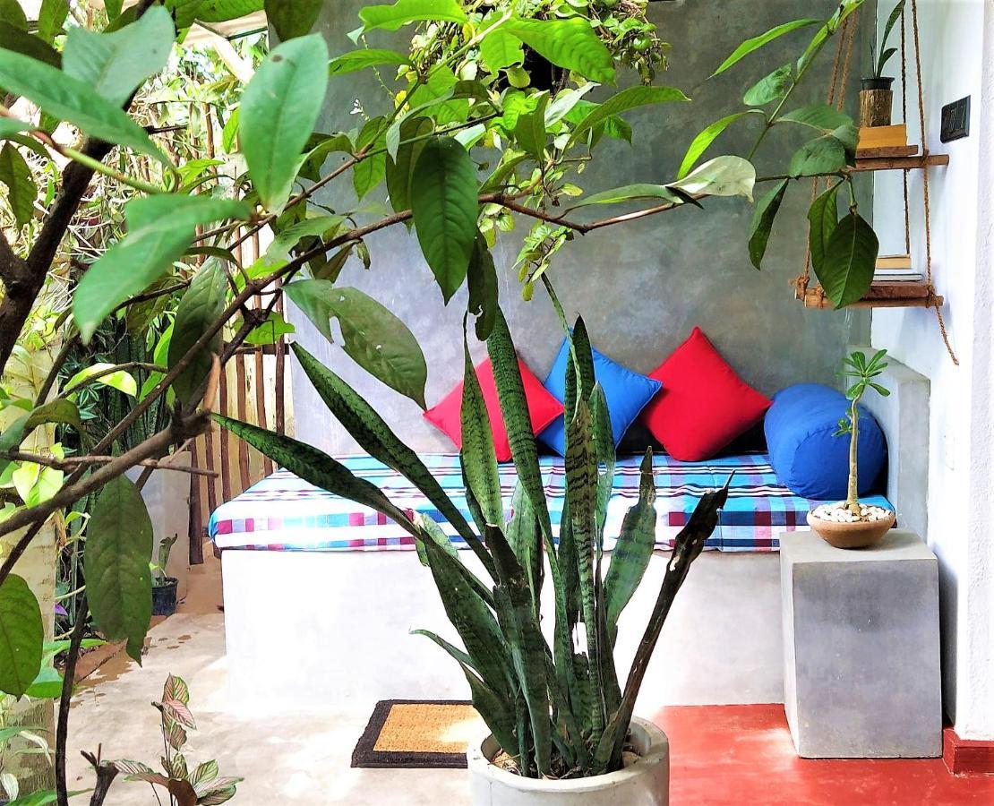 Sand Dollar House, Hiriketiya Dickwella Zewnętrze zdjęcie