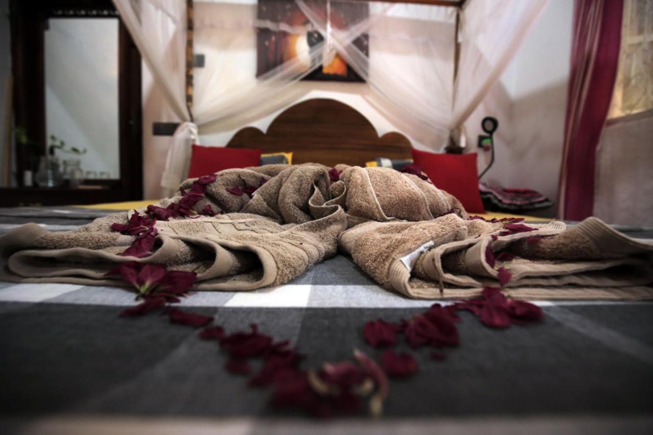 Sand Dollar House, Hiriketiya Dickwella Zewnętrze zdjęcie